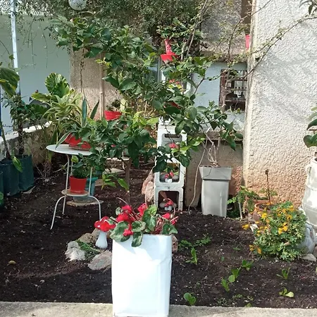 Marilia Gesthouse Pensjonat 3*