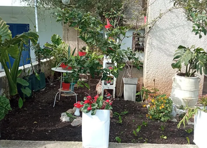 Marilia Guest house *